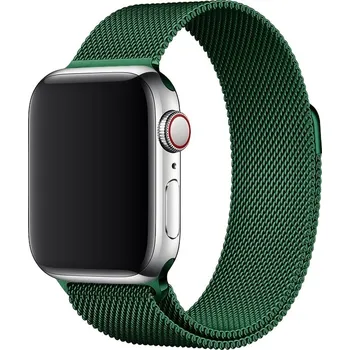 Řemínek na hodinky AW MILÁNSKÝ LOOP pro Apple Watch - Magnetický - Zelený Šířka uchycení řemínku: 38/40/41/42mm, Barva: Zelený IR-AWMTLP23