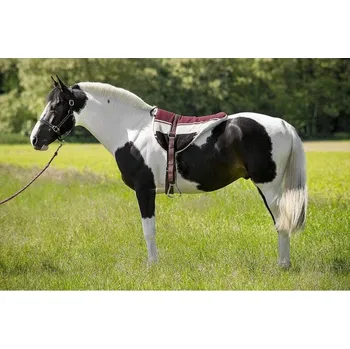 Jezdecké sedlo Jezdecký pad NORTON BAREBACK