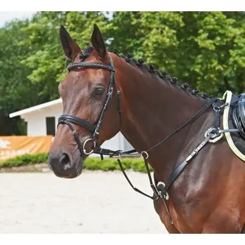Martingal Poprsák s martingalem BUSSE SOLIBEL kožený černý Cob/Full