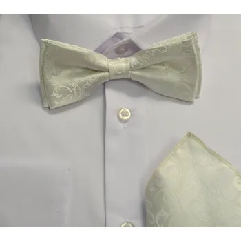 Motýlek Pánský motýlek s kapesníkem M5 - vzor 201