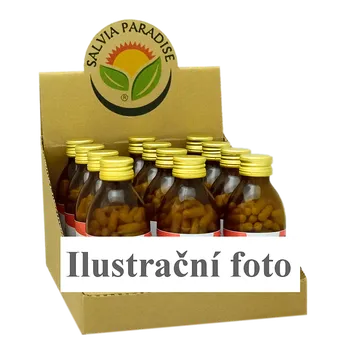 Přírodní produkt Salvia Paradise CZ BOX Ašvaganda - vitánie kapsle BIO 12 x 120 ks