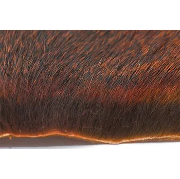 Troutline Pine Squirrel Tanned Skin piece Orange