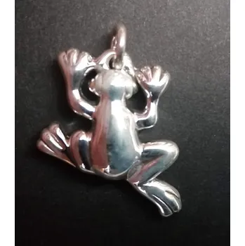 Přívěsek Velká žába - stříbrný přívěsek