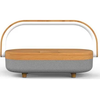 STABLECAM Multifunkční bezdrátová nabíječka s reproduktorem a světlem (BEZ Aku) PE_1DJ6479D