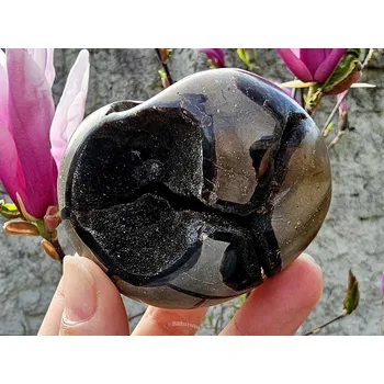 Přírodní kámen Septarie dračí kámen s dutinou 203g Madagaskar