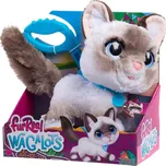 Hasbro furReal Walk-A-Lots Interaktivní kotě Ragdoll 23 cm