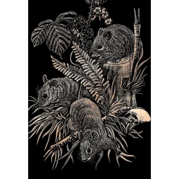 Výtvarná sada Škrabací obr. stříbrný ROYAL & LANGNICKEL - Polní myši