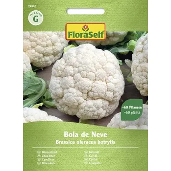Semeno Květák Bola de Neve FloraSelf