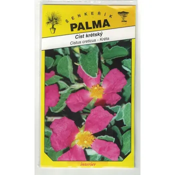 Semeno Císt krétský – Cistus creticus