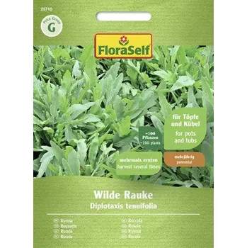 Semeno Rukola FloraSelf