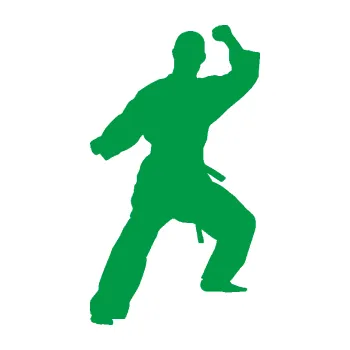 Polep vozidla Karate 014 levá (12 - zelená) SAMOLEPKA NA AUTO, NÁLEPKA, FÓLIE, POLEP, TUNING, VLASTNÍ TEXT, TISK, AUTOSAMOLEPKY.cz, POLEPY, OBRÁZEK, LOGO, 3D STICKERS