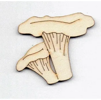 Překližka Houba Liška