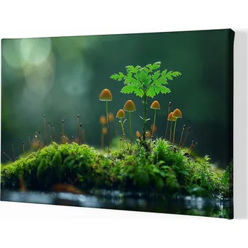 Obraz Obraz na plátně - Houbičky na mechové planině FeelHappy.cz Velikost obrazu (šířka x výška): 60 x 40 cm