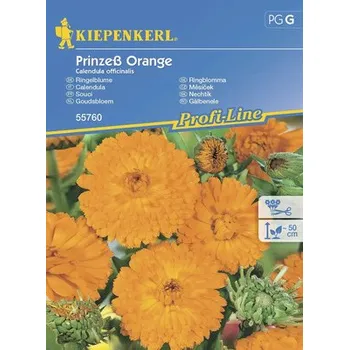 Měsíček lékařský Princess Orange Kiepenkerl