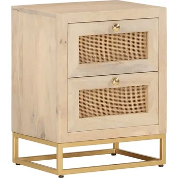 Noční stolek vidaXL Noční stolek 40x30x50 cm masivní mangovníkové dřevo a železo [372019]