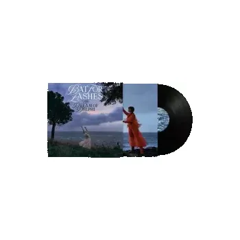 Zahraniční hudba Dream Of Delphi / Vinyl - Bat For Lashes [LP]