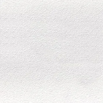 Obklad Color Two (WHITE) - dlaždice 20x20 bílá matná, R10 B GAF1K023