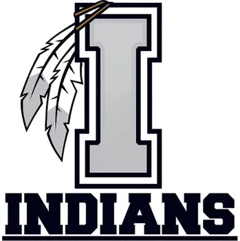 Odstranitelné tetování Písmeno I s pírky a nápisem INDIANS - nalepovací tetování