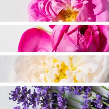 Sprchový gel Sada květinových vod Alteya Organics 6x60ml