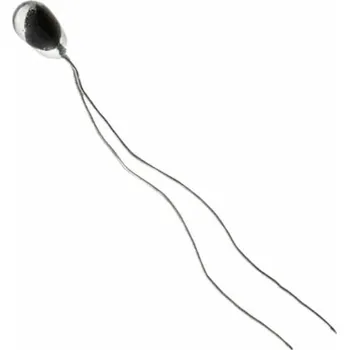 Honeywell SPS Senzor vlhkosti a teplotní senzor