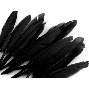 Galanterie Kachní peří délka 9-14 cm
