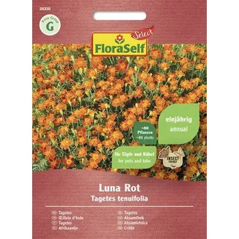 Semeno Aksamitník malokvětý Luna červený FloraSelf Select