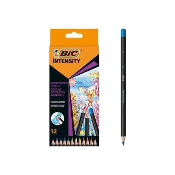 Set školních potřeb Kredki ołówkowe Intensity Premium 12szt BIC