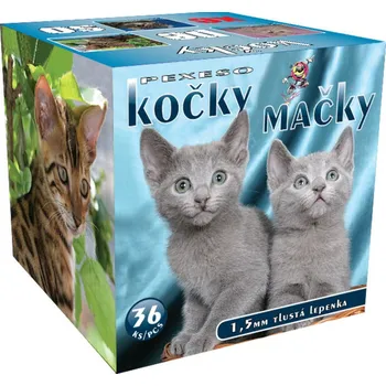 Pexeso Pexeso - kočky pevný karton