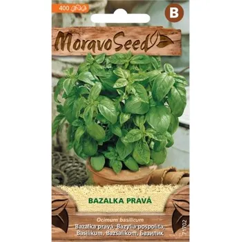 MoravoSeed Bazalka Zelená
