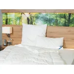 BeCo Polštář Proneem