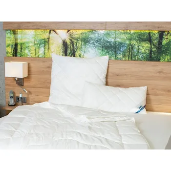 Polštář BeCo Polštář Proneem