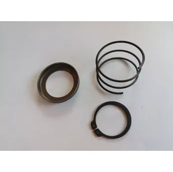 Motor pro motocykl Pružina startování s pojistkou a miskou Jawa/ČZ