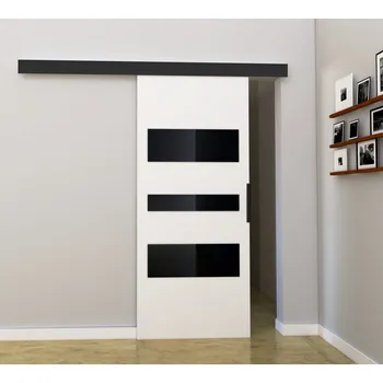 Interiérové dveře Nábytek PEGAS s.r.o. Posuvné dveře STANDART MIX C100, Bílá/Černá