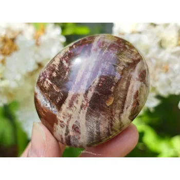 Sběratelství Zkamenělé dřevo hladký kámen 120g (Madagaskar)