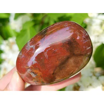 Sběratelství Zkamenělé dřevo hladký kámen (Madagaskar) 130g