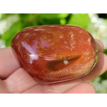 Přírodní kámen Zkamenělé dřevo hladký kámen z Madagaskaru 96g