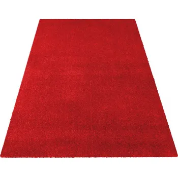 Koberec Jednobarevný shaggy koberec červené barvy Šířka: 120 cm | Délka: 170 cm