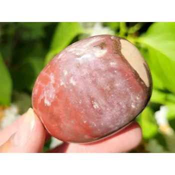 Přírodní kámen Zkamenělé dřevo hladký kámen z Madagaskaru 106g