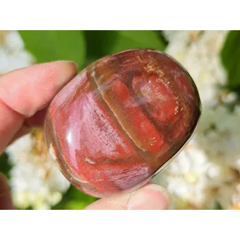 Přírodní kámen Zkamenělé dřevo hladký kámen (Madagaskar) 127g