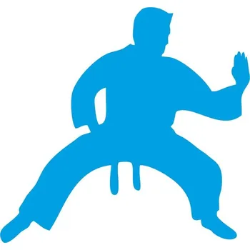 samolepka ON-DESIGN Samolepka KARATISTA Barva: azurově modrá