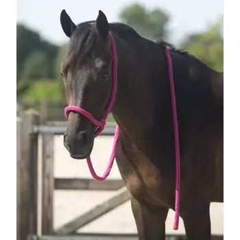 Jednoduchá provazová ohlávka s lanem