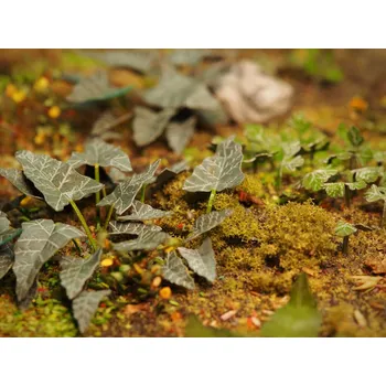 Plastikový model Matho Models 1/35 Plants & Weeds E