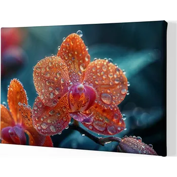 Obraz Obraz na plátně - Orchidej, deštivé ráno FeelHappy.cz Velikost obrazu: 40 x 30 cm