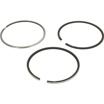 Autodíl Pístní kroužky Fiat Doblo 2004-2023 1,3D, Fiorino 2007-2011 1,3D - STD, 71752645