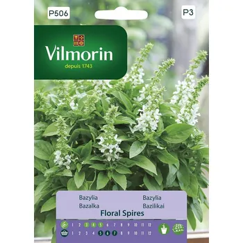 Semeno Bazalka Floral Spires 10/2023