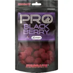 Starbaits Probiotic Boilies 20 mm/200 g