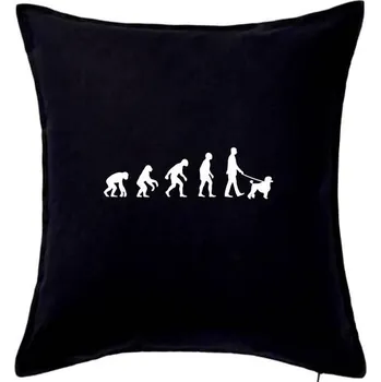 Polštář Evoluce pes pudl (muž-žena) - Polštář 50x50 - 50x50 - Včetně výplně ( Černá )