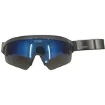 BRÝLE BĚŽECKÉ VICTORY SP V629 - carbon