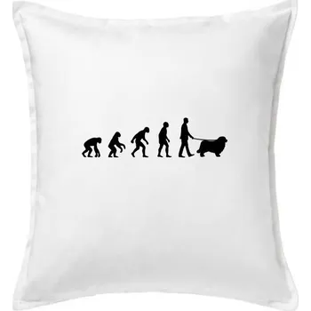 Polštář Evoluce pes Novofundlandský pes (muž-žena) - Polštář 50x50 - 50x50 - Pouze potah ( Bílá )