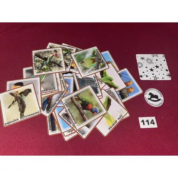 Pexeso HandMade by VeJa Velké pexeso vel.XL č.114 - Papoušci(36kousků)